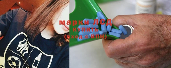 сатива Беломорск