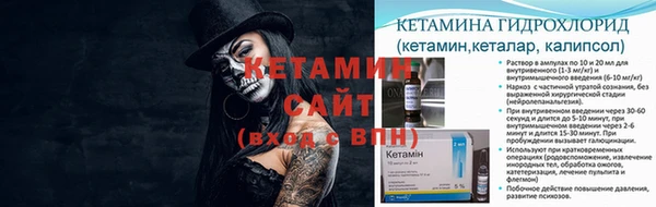 сатива Россошь