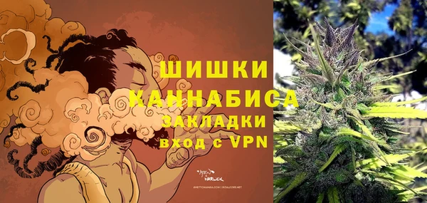 сатива Беломорск
