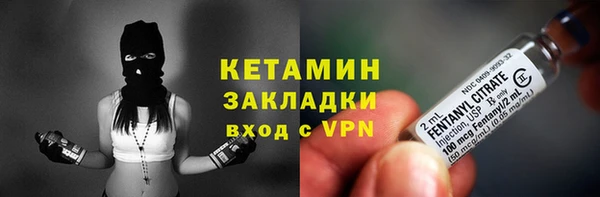 сатива Беломорск