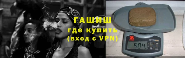 сатива Беломорск