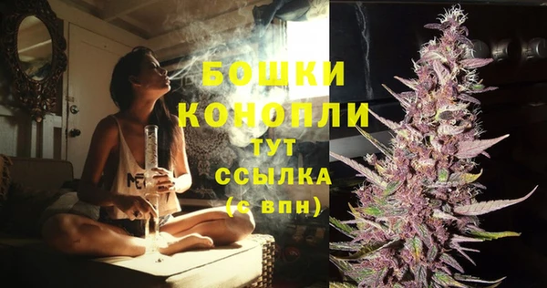 сатива Беломорск