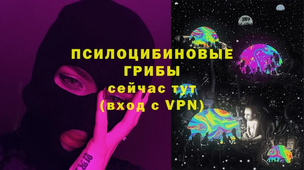 сатива Беломорск