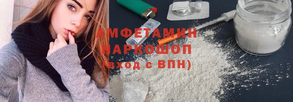 сатива Беломорск