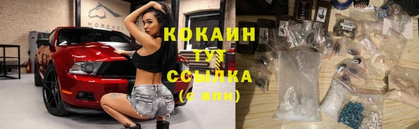 сатива Беломорск