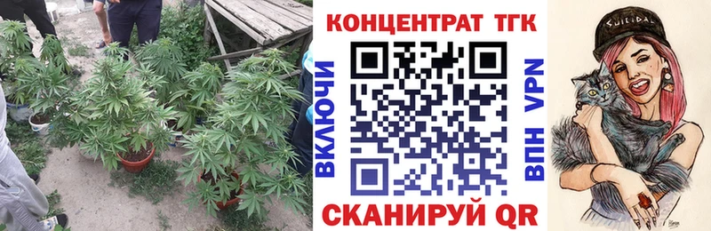 Дистиллят ТГК THC oil  Магас 